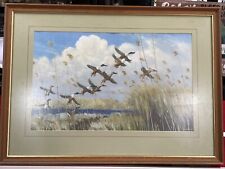 Peter scott ducks for sale  ABERDEEN