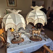 Aristocraft mare foal for sale  OLDHAM