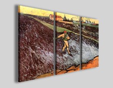 Quadri van gogh usato  Pontecagnano Faiano