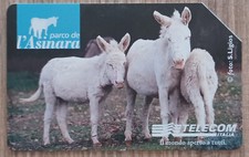Scheda telefonica usata usato  Manfredonia