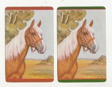 mares horses for sale mares horses for sale Walnut Creek