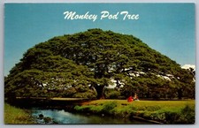 Postcard hawaiian monkey for sale  Factoryville