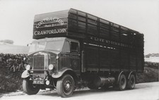 Photo leyland livestock for sale  EGHAM