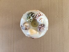 Vela decorativa de mesa com conchas incorporadas U.S. Candle Co comprar usado  Enviando para Brazil