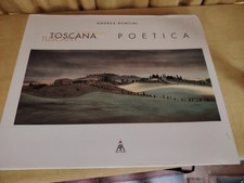 Andrea rontini toscana usato  Pisa