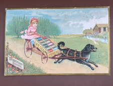 1881 dog cart for sale  Minneapolis