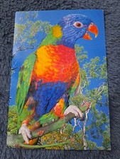 Bunte vogel postkarte gebraucht kaufen  Hamburg