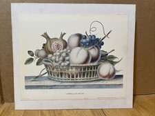 Corbeille fruits published for sale  Henderson