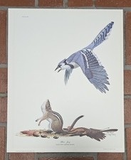 Ray harm blue for sale  Simpsonville