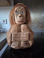 carved coconut for sale carved coconut for sale KIRKWALL
