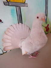 Steiff weiße taube gebraucht kaufen  Viersen