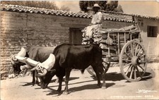 Cartão postal antigo RPPC Carreta Oaxaca México F9 comprar usado Cartão postal antigo RPPC Carreta Oaxaca México F9 comprar usado  Enviando para Brazil