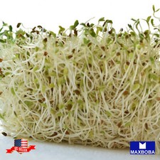 Alfalfa seeds organic for sale  Waltham