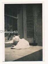 Vintage photo 1941 d'occasion  Toulon-