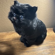Realistic black persian for sale  Las Vegas