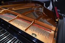 Yamaha top line for sale  Dallas
