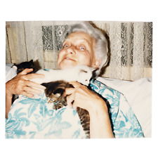 Old cat lady for sale  Portland