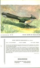 Publicité ancienne pharmaceut d'occasion  France