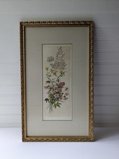 Vintage botanical nature for sale  Nacogdoches