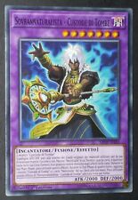 deck custode tombe usato deck custode tombe usato Venezia