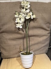 White orchids pot for sale  BOREHAMWOOD