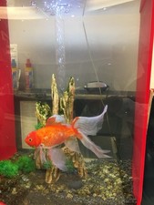 Litre biorb silver for sale  LONDON