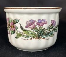 Villeroy boch botanica usato Villeroy boch botanica usato  Spedire a Italy