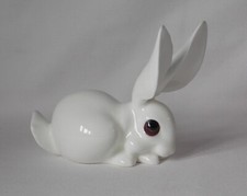 Unusual white bunny for sale  BRIDGWATER