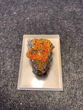 Realgar baia sprie gebraucht kaufen  Grimma