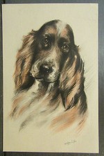 Old postcard illustrator d'occasion  Expédié en Belgium