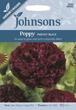 Poppy paeony black for sale  NEWMARKET