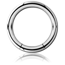 Titan segmentring brustpiercin gebraucht kaufen  Eberswalde