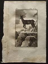 1799 buffon klippsbringer d'occasion  Besançon