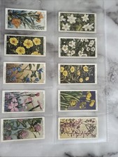 Wills wild flowers for sale  SUNDERLAND