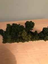 woodland trees for sale  BENFLEET