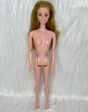 Barbie standard europa gebraucht kaufen  Seehausen, Zehrental