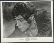 Sangue IAN McSHANE em A Viúva do Diabo '72 comprar usado  Enviando para Brazil