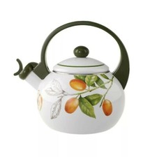 Villeroy boch cascara usato  Milano