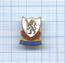 Pin insigne badge d'occasion  Massy