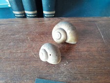 Snail shells 4 for sale  KEIGHLEY