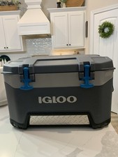 Igloo bmx quart for sale  Greenville