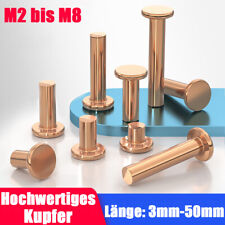 Kupfernieten Flachkopf Nieten Solide Kupfer Niet M2 M2,5 M3 M4 M5 M6 M8 DIN 661 comprar usado  Enviando para Brazil