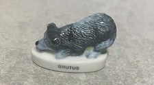 Feve brutus compagnon d'occasion  Brive-la-Gaillarde