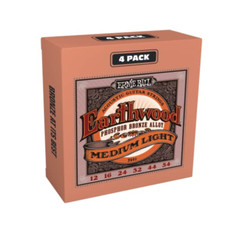 Ernie ball earthwood usato  Roccagloriosa