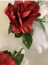Red white rose for sale  Woodstock