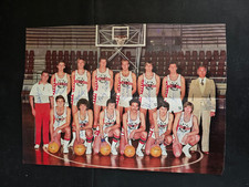 Chinamartini auxilium basket usato Chinamartini auxilium basket usato  Villar Focchiardo