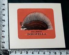 WUNDERKAMMER EXLIBRIS 17 - " ISTRICE " - * ITALO ZETTI * - X COLOR comprar usado  Enviando para Brazil