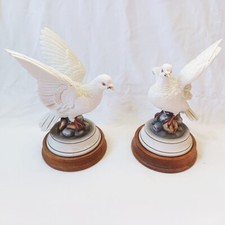 paint white dove for sale paint white dove for sale Everett