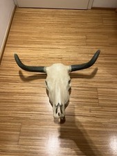 Chsenschädel bullenschädel g gebraucht kaufen  Saarbrücken
