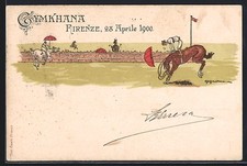 Lithographie firenze gymkhana gebraucht kaufen  Berlin
